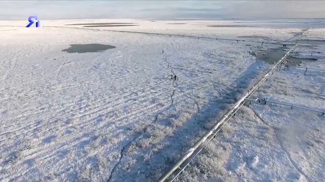 «Изучая землю» смотреть онлайн