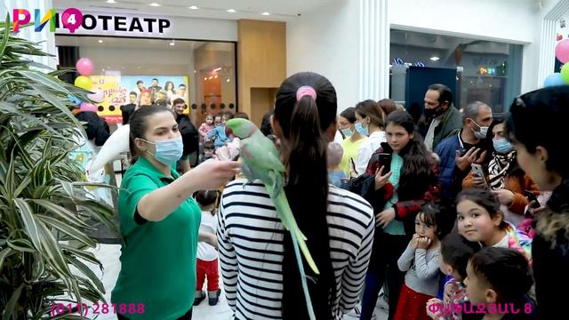 Rio Mall -ի 4 ամյակը смотреть онлайн