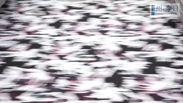 ТКАНИ | Текстиль | Производство ткани | Завод изготовитель | Сырье | Фабрики в Китае | Ткани Китай смотреть онлайн