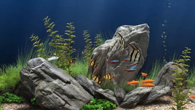 Мгновенное избавление от стресса и беспокойства, аквариум,исцеляющие звуки для тела и души. смотреть онлайн