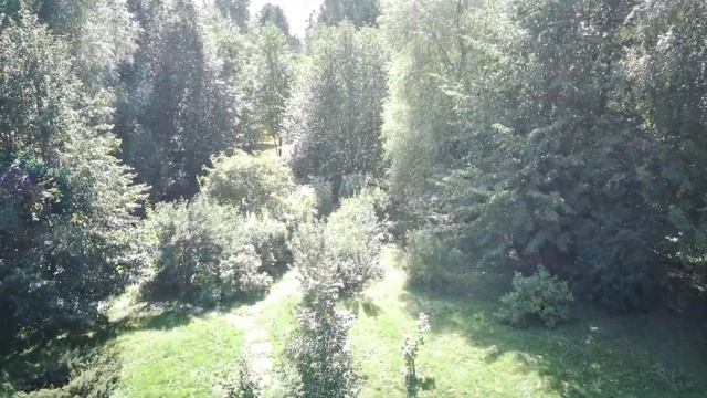 Ботанический сад в Соликамске смотреть онлайн