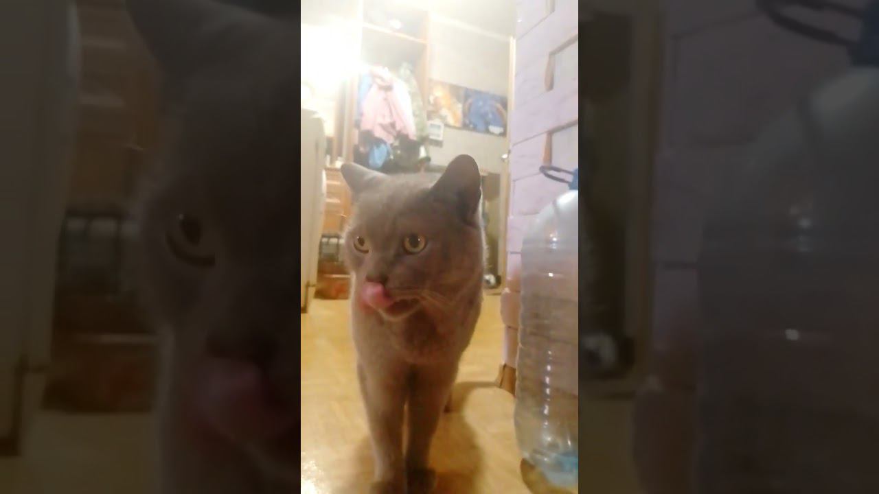 #music #топ #rap #beat #gta #typebeat #automobile #gtaonline #гта #роблокс