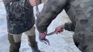 Быстрый способ - разделать зайца . 3 минуты и готово .