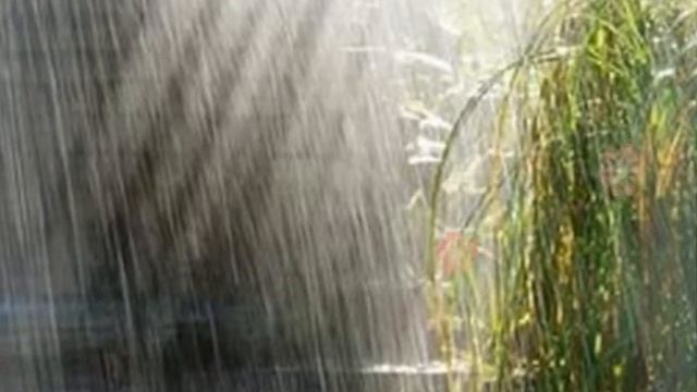 ЛЮБЛЮ ДОЖДИ | Аржуна смотреть онлайн