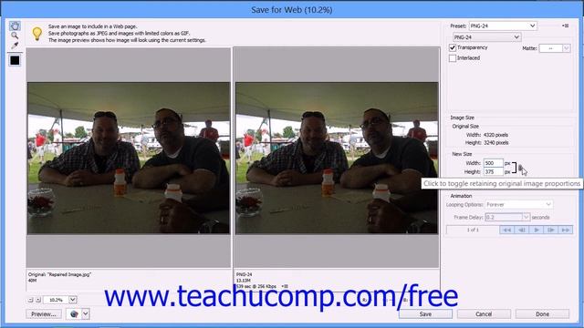 Photoshop Elements 12 Tutorial The Save for Web Dialog Box Adobe Training Lesson 15.2 смотреть онлайн