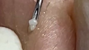 Enjoy Every Day With The Best Video Loan Nguyen Spa DN #417