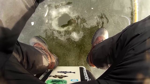 Ловля зимой чехони на гирлянду, залив Оболонь