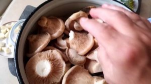 Грузди сухие очень вкусные и ароматные без термической обработки