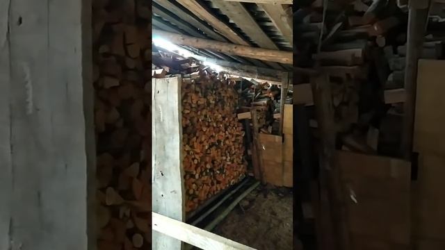 Сколько дров нужно на зиму смотреть онлайн