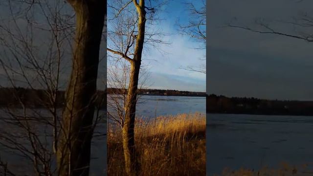 Устье невы смотреть онлайн