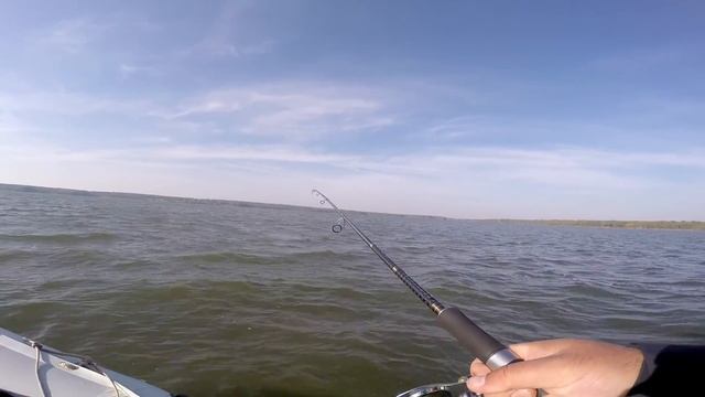 Виброхвост Mottomo Noise на подмосковном водохранилище смотреть онлайн