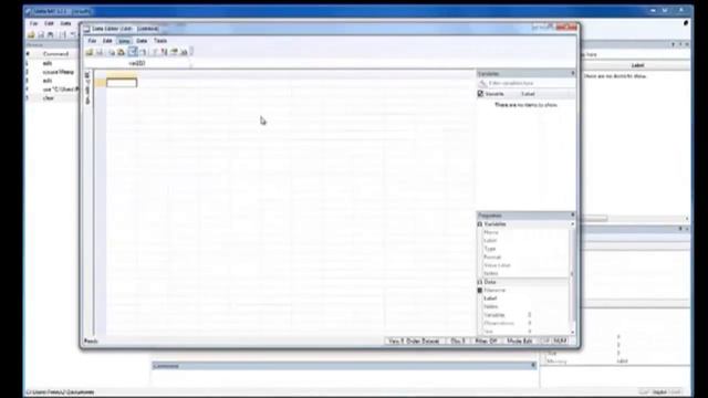 Introdcution to Stata - Importing data from Excel смотреть онлайн