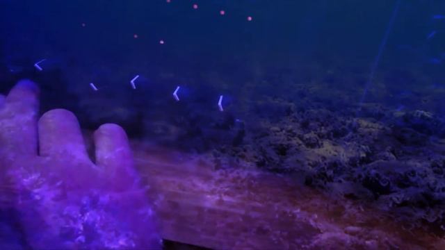 Undermoon - Cuttelfish II live смотреть онлайн