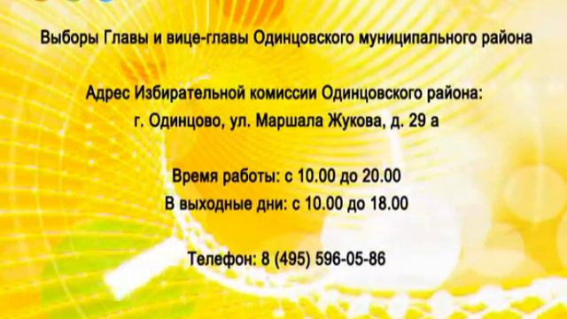 Проголосовать за кандидатов можно досрочно смотреть онлайн