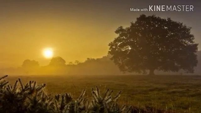 Весенняя денежная медитация из серии "Медитации с Лесей Равлик" смотреть онлайн