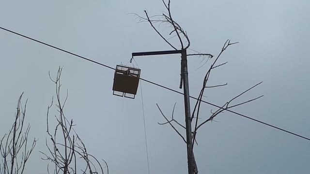 ловля певчих птиц смотреть онлайн