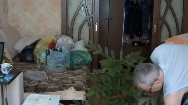 Сборка Новогодней ёлки 2 часть смотреть онлайн