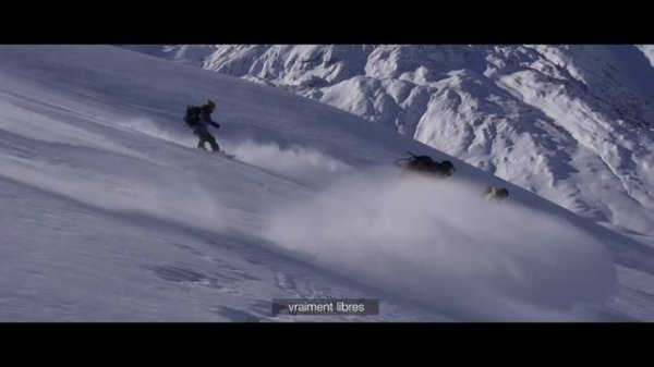 COMFORT ZONE : INTRODUCTION - Almo