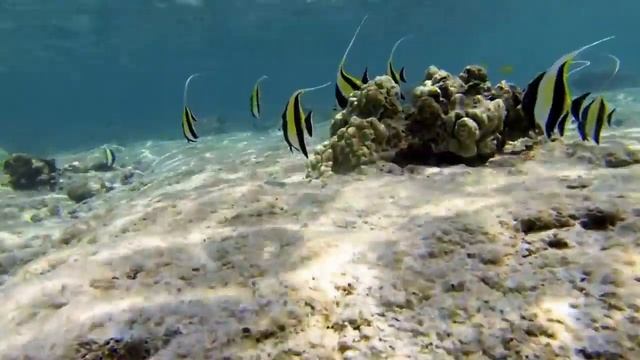 Купить путевку на лучшие горящие туры! смотреть онлайн