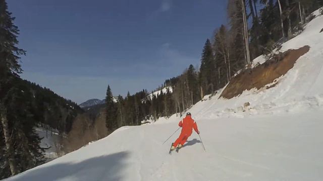 примула низ смотреть онлайн