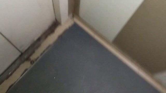 модернизированный лифт МЛЗ ГП 400 кг (ул. Калнышевского 18, подъезд 11, г. Запорожье) смотреть онлайн