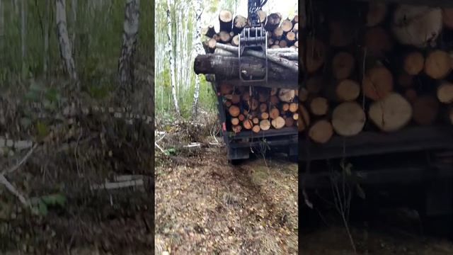 131 ЗИЛ ТОП #рекомендации #ліс #приколы #лайк #ютуб #зил130 смотреть онлайн