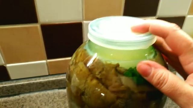 Туризм и Приключения