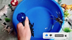 Учим Животных Корова Коза Утка Лев Лошадь Учим Животных на английском