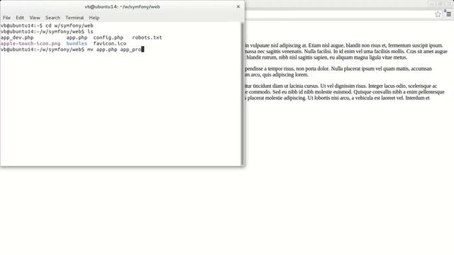 Configure Symfony for Debugging смотреть онлайн