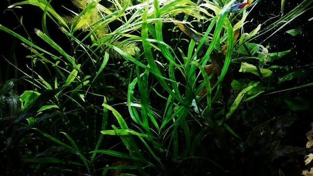 СтройНавигатор