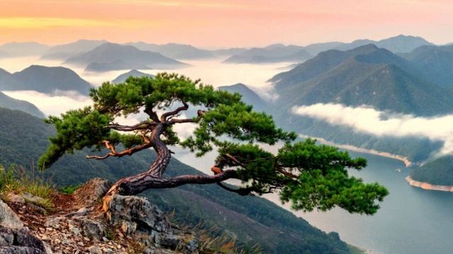 Когнитивный бумеранг с точки зрения противодействия.