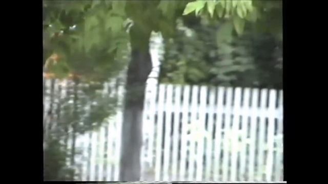 Красная Поляна 22 года назад... смотреть онлайн