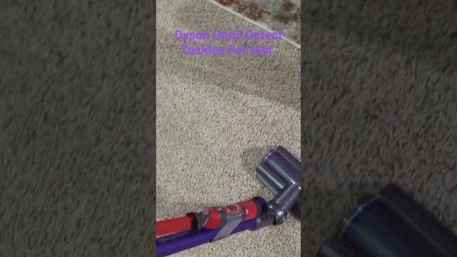 Dyson Gen5 Detect vs Pet Hair смотреть онлайн