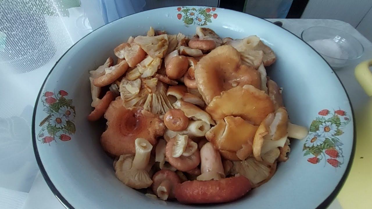 Засолка грибов. Как я солю волнушки. смотреть онлайн
