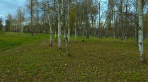 Музей-усадьба Остафьево. Что посмотреть?