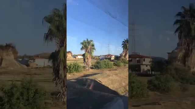 Что будет если не подстригать пальмы (Турция) смотреть онлайн