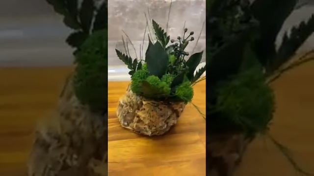 Live pot of cork, ferns and Scandinavian moss смотреть онлайн