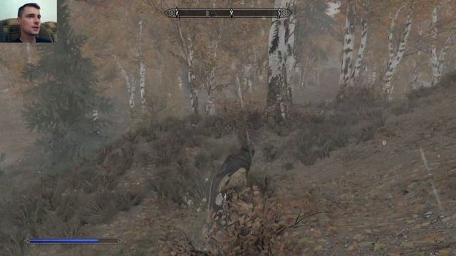 ✅SKYRIM прохождение✅ #193 Древний свиток найден! смотреть онлайн