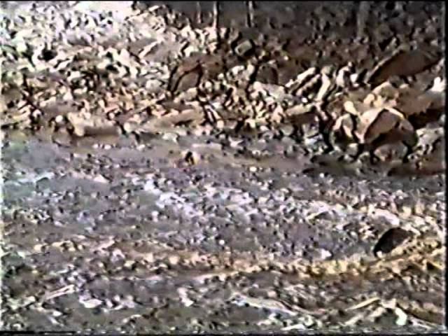 Бадарма. май 1998 г. смотреть онлайн