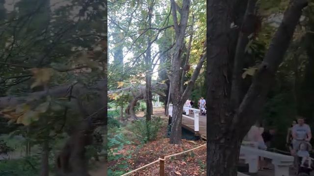 Куда пойти с детьми в г. Алуште! ДиноПарк Затерянный мир! Крым для детей! смотреть онлайн