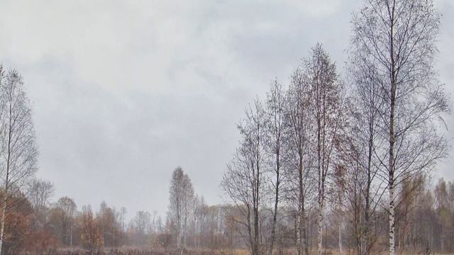 Первый снег в пейзаже октября и Sony a35 с мануальными объективами. смотреть онлайн