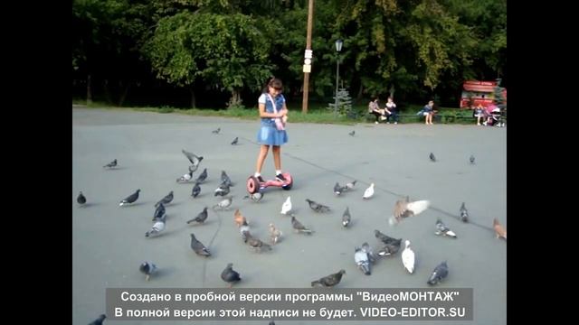 Голуби и гироскутер смотреть онлайн