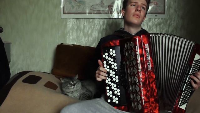 Словацкая Полька На Баяне? (И Котик?) смотреть онлайн