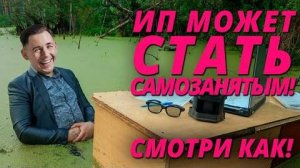 Как ИП зарегистрироваться самозанятым? С ИП на УСН на НДП