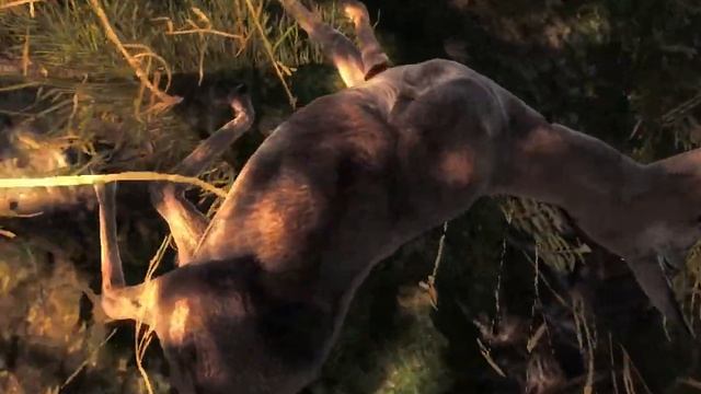 охота на косулю the hunter смотреть онлайн