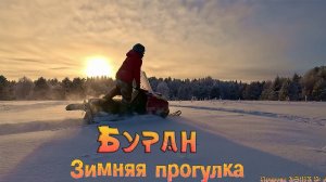 Зимняя прогулка: Буран, лес и песики при -34°C! \ 4K 60fps