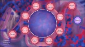 Цитофлавин Бэлдмэл 1