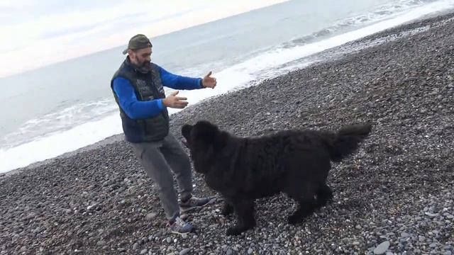 дыхание смотреть онлайн