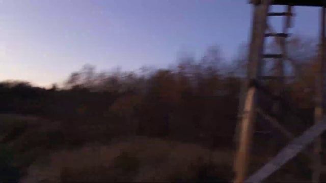 Охота с Вышки на кабана подкормочных площадках В 2022 смотреть онлайн