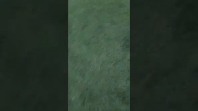 Кто БОЛЬШЕ ЗАБЬЁТ мяч в ворота - ВЫИГРАЕТ Челлендж! смотреть онлайн